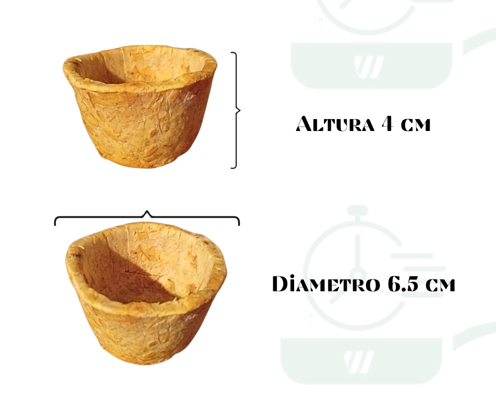 Medidas de canasta de patacón mediana: 6.5 cm de diámetro y 4 cm de altura.